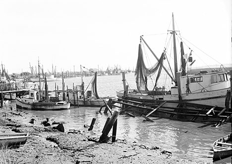 Photo by Charles Farrell. Courtesy, State Archives of North Carolina