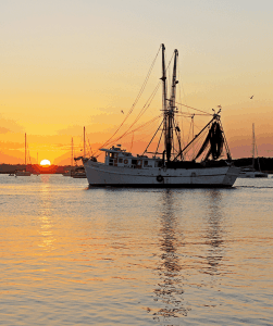 Shrimp trawler in waters off Fernandina Beach, Fl. Courtesy, AmeliaIslandLiving.com