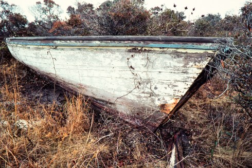 Hatteras Island photographer Mike Halminski found his friend John Herbert's shad boat in the Rodanthe marshes in 1985. Herbert told him that he won many race on Pamlico Sound with the boat in his younger days. Photo courtesy of Michael Halminski at Michael Halminski Photography