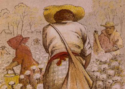 Cotton pickers, 1800s. Courtesy, Library of Congress. Found in Sven Beckert's Empire of Cotton: A Global History (2015)