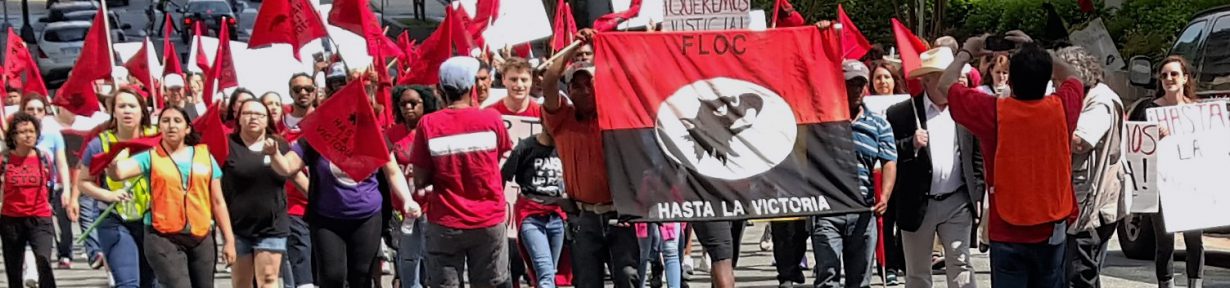 In 1981 four men were indicted for enslaving 8 migrant workers in eastern N.C. At the time, the New York Times quoted human rights attorney Steve Edelstein, of Raleigh, ''People don't like to believe that slave camps exist in North Carolina. They don't want to believe that they are operating 45 miles from the state capital in Raleigh, but they do.'' The Farmworkers Labor Organzing Committee (shown here marching in N.C.) and other groups continue to campaign against slavery and slavery-like conditions in N.C.'s fields. Photo courtesy of FLOC