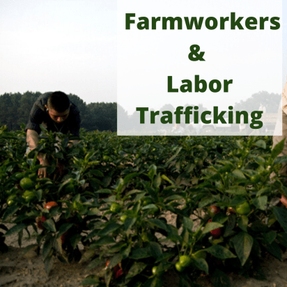 You can learn more about human trafficking in North Carolina's agricultural industry today in Melinda Sampson's "The Dark Side of Agriculture: Labor Trafficking in the Fields." It's on the web site for North Carolina Stop Human Trafficking. 