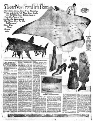 "Shoes now from Fish Skins." Articles like this appeared in newspapers across the U.S. in 1918. From The Tennessean (Nashville, Tenn.), July 7, 1918. 