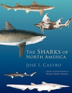 Dr. Castro was kind enough to assist me in understandings Russell Coles’ place in the history of shark science. A marine biologist at the National Marine Fisheries Service (part of NOAA), he specializes in the biology and history of sharks. His book, The Sharks of North America, is a standard work in the field.