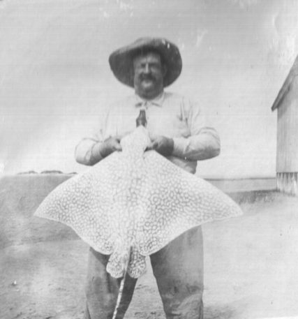 Russell Coles with a spotted eagle ray (Aetobatus narinari), Cape Lookout, N.C., ca. 1910-15. Courtesy, Walter Coles, Sr., Coles Hill, Va.