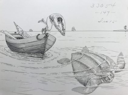 Loggerhead turtle hunting, Cape Lookout vicinity, 1883. Loggerheads are the world's largest hard shell turtle, typically weighing 180-440 lbs. At the time of this drawing, they were commonly hunted for their meat and eggs. Drawing by H. Elliott. From U.S. Fish Commission Records, Archives Center, National Museum of American History