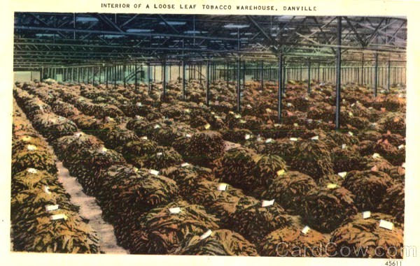 Post card of tobacco leaf warehouse, Danville, Va., early 20th century.