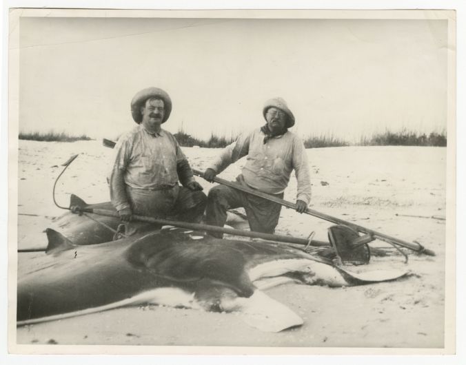 Russell Coles and Teddy Roosevelt with a giant oceanic manta ray, Captiva Island, Fl., 1917. Courtesy, Walter Coles, Sr.