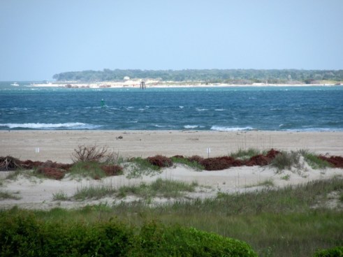 In 1915 a giant oceanic manta ray nearly pulled Telford Willis and Luther Guthrie's fishing boat through Beaufort Inlet. Photo from Active Planet Travels
