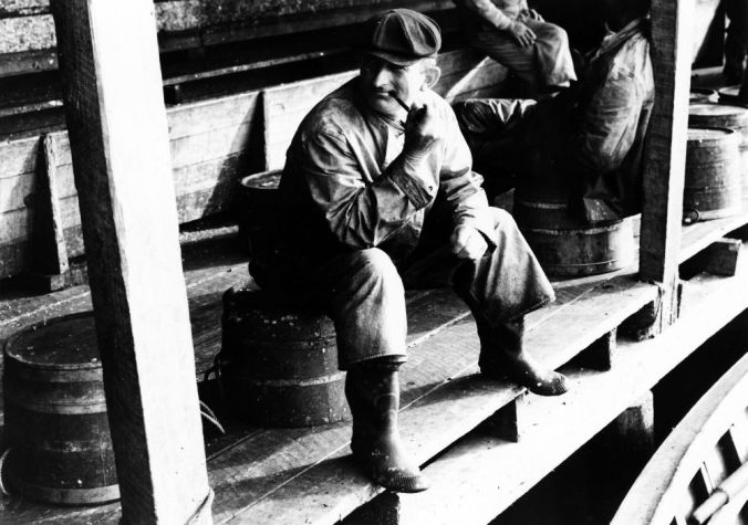A man, probably a fisherman, at the Perry-Belch herring company, Colerain, N.C., ca. 1937-41. Photo by Charles A. Farrell. Courtesy, State Archives of North Carolina