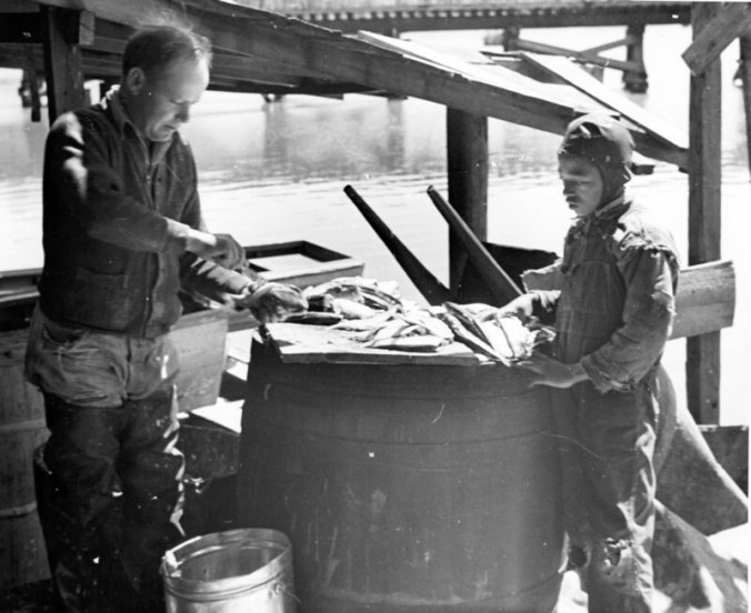 Farrell also visited an anchor gill net fishery just outside of Edenton, N.C. ca. 1937-41. Photo by Charles A. Farrell. Courtesy, State Archives of North Carolina