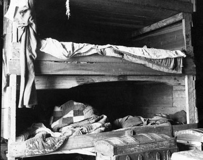 Barn Slue (or Barney Slough) fish camp. Photo by H. H. Brimley, ca. 1905. Courtesy, State Archives of North Carolina