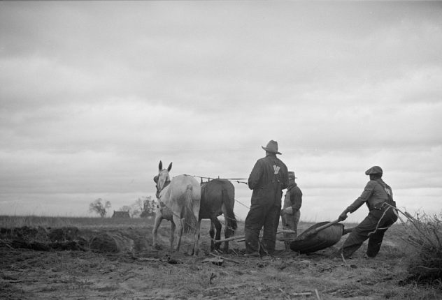 Getting ready for spring planting, North Carolina (exact locale unknown), ca. 1935. Courtesy, Library of Congress