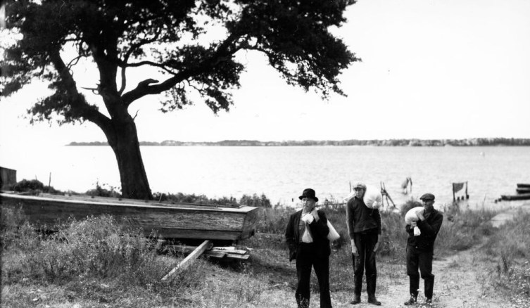 Ginny's "Pappy," her grandfather Louis L. Midgett (on left), at Moore Landing in Sneads Ferry. "One of the best men of all the good men I have known and still know in my long life on this earth," she once wrote me. He and the other two, unidentified men are carrying bags of cornmeal on their shoulders. According to Ginny, they've just come across the river from the village of Marines, where they had the corn ground at Ollie Marines' mill. At that time, Sneads Ferry did not have a mill. Photo by Charles A. Farrell. Courtesy, State Archives of North Carolina