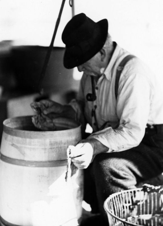 remembered how he settled his accounts with the local fishermen on Friday nights and had a "camp house" behind the store, where duck hunters would stay. Her mother and her sisters would clean the ducks and cook them, while the boys did chores like bringing wood for the stove.