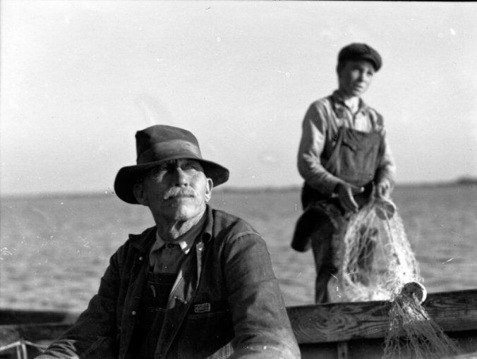 A father and son gill net fishing from a pair of skiffs on the New River, 1937-41. The Atlantic Ocean was just a few miles to the south, but in Sneads Ferry the estuarine waters of the New River were home. In the early 1930s Ginny Richardson told me, "just about everybody" worked on the river. She said that her family did go out to the inlet on occasions though, such as in the early spring when they gathered a mustardy, wild green that she called "sea kale" (I know it as "sea rocket") among the dunes. Photo by Charles A. Farrell. Courtesy, State Archives of North Carolina