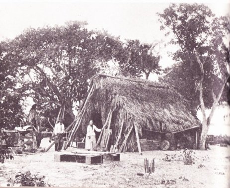 A typical example of the ranchos where Spanish fishermen lived when they were mullet fishing in Southwest Florida. Courtesy, Cortez Village Historical Society