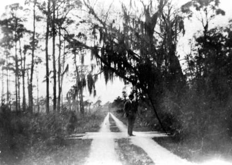 The shell road to Cortez, 1917. Courtesy, Manatee County Public Library