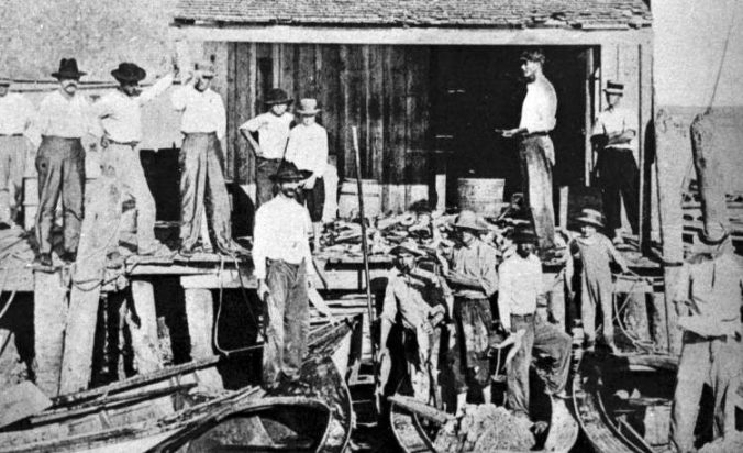 Fishermen unloading their catch. Cortez, Fl., ca. 1905-1915. Courtesy, Manatee County Public Library