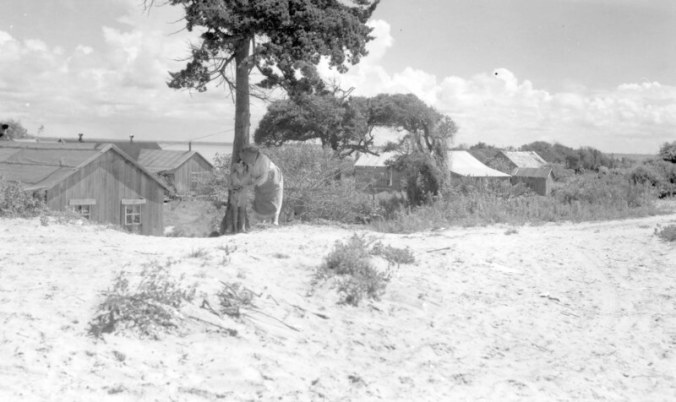 Salter Path, ca. 1935-40. A mother or grandmother and a little girl stand on the dune line that helped to protect the village from wind and waves. Photo by Charles A. Farrell. Courtesy, State Archives of North Carolina