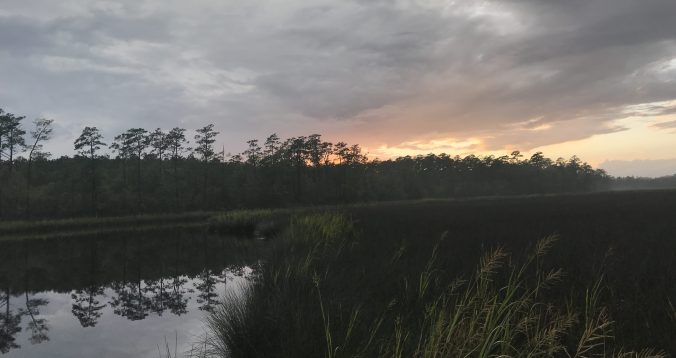 Sunset in one of my favorite places in the world: the marshes along Clubfoot Creek. Photo by David Cecelski