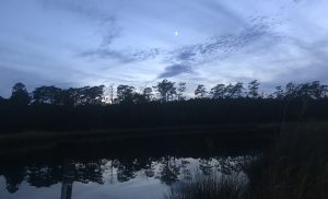 Photo by David Cecelski