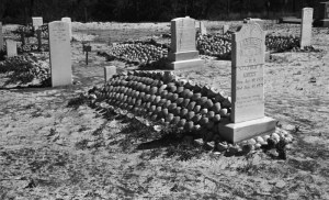 Graves covered with whelk shells, Cedar Island, N.C., ca. 1937-41. Photo by Charles A. Farrell. Courtesy, State Archives of North Carolina