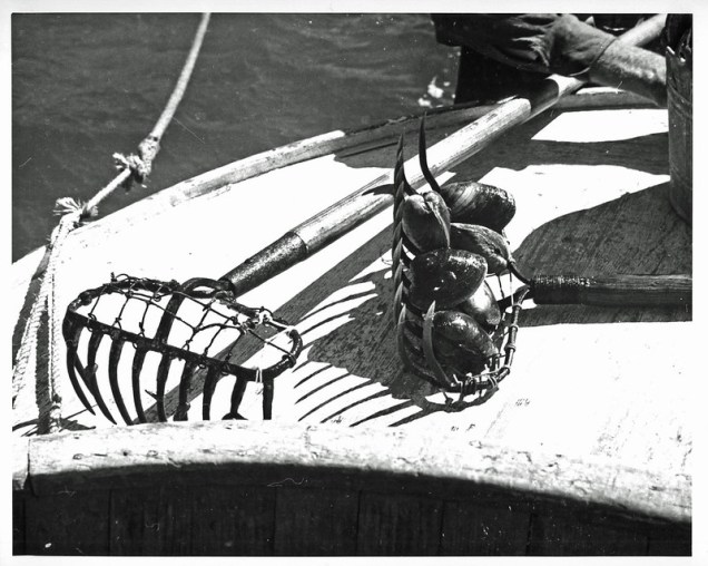 Clams and clam rakes on the bow of a fishing boat, Sea Level, N.C., ca. 1935-40. Photo by Charles A. Farrell. Courtesy, State Archives of North Carolina