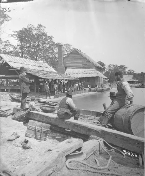 Avoca plantation's Sutton Beach, Bertie County, N.C., ca. 1881. Smithsonian Institution Archives, Acc. 11-006, Box 006, Image No. MAH-3036