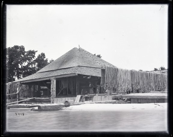 Warps and seine drying at Avoca plantation's fishery, 1881. Smithsonian Institution Archives, Acc. 11-006, Box 015, Image No. MAH-4918