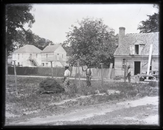 Setting a gill-net out to dry apparently in Edenton, N.C., ca. 1881. Smithsonian Institution Archives, Acc. 11-006, Box 015, Image No. MAH-4927