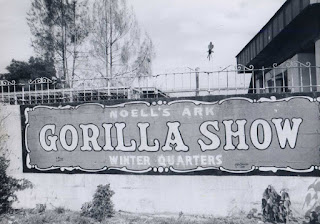 Mae and Bob Noell's "Noell's Ark Gorilla Show" in Tarpon Springs, Florida, ca. 1950-1970. Courtesy, Aleada Siragusa