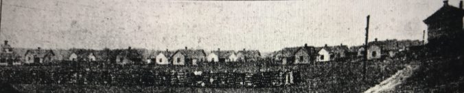 A view of the North Lumberton (Jennings) mill village, 1917. From the Charlotte News, Feb. 21, 1917