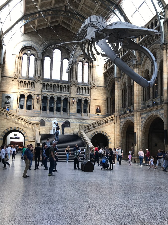Hintz Hall, Natural History Museum, London. Photo by David Cecelski