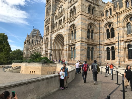 Natural History Museum, London. Photo by David Cecelski