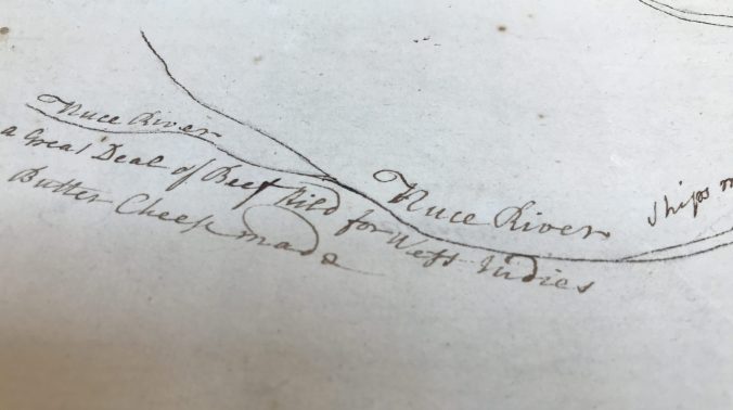 Veale's map highlights the colony's export of "a great deal of beef" from the area around the Neuse River to British slave labor colonies in the West Indies. The cattle were left to "free graze" in forests, marshes and on the region's barrier islands. After rounding up and slaughtering cattle, settlers-- or more likely enslaved Africans-- salted the beef and packed it in barrels for shipment.  Detail of Veale map of 1730, Peter Collinson Commonplace Books, Linnean Society, London.