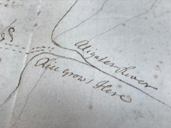 By the Alligator River, in what is now Tyrrell County, N.C., the map notes, "Rice grows Here." Detail of Francis Veale's 1730 map, Peter Collinson Commonplace Books, Linnean Society, London.
