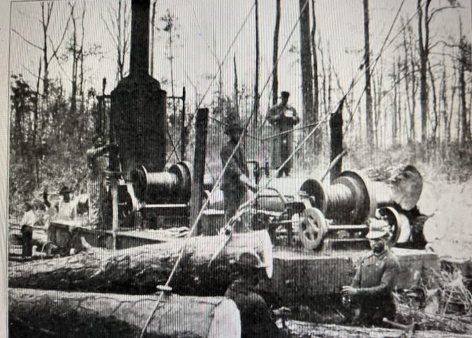 This is a logging crew and a logging machine called a "skidder“ just northwest of the Pungo River, ca. xxxx. In 1910 a reporter visited one of the  Wilkinson brothers'  logging crews and described a skidder's operation. He wrote: <em>"By and by, . . . the position of the`skidder' was revealed by clouds of steam and the voices of the loggers became audible. Then around an abrupt curve the odd machine came into view as it tugged away at a heavy log some distance off to one side.... A wire rope more than 100 yards long and with a hook at its free end was hitched about the log and the drum of the `skidder' was winding up the stout cord while the heavy piece of timber came smashing through the undergrowth, mowing down brush and breaking and crushing the saplings. . . .There is something thrilling about seeing one of these big logs pulled by the rope, come tumbling through the bushes and smaller timber as lightly almost as if it were a toothpick. . ..  From the woods, by means of the tram road, the logs are gotten out and sent to the mills in Belhaven, where . . .  they are speedily cut up into lumber for building and other purposes, including the manufacture of blocks for street paving, the black gum wood being found suitable for the latter purpose.”</em> (Republished from the <i>Manufacturers Record </i> in the Raleigh <em>News &amp; Observer,</em> 28 Aug. 1910.)