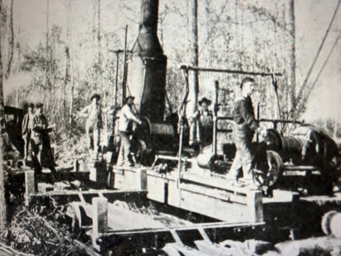 A crew of the John H. Roper Lumber Co.'s loggers using a steam skidder in a section of the East Dismal 9 or 10 miles northeast of the Pungo River's headwaters. A technological revolution in logging technology may have been the first note in the East Dismal's death knell. The industry's adoption of steam power and railroads in the late 1800s meant that logging no longer had to  occur in the proximity of a waterway.  The first successful steel-railed logging road in the U.S. was built in 1876-- and the number of those logging roads in the U.S. rose from zero to 30,000 by 1910. Steam skidding (as we see in this photograph) and the first widely used steam-powered log loaders only appeared in the 1880s. Innovations in crosscut saws-- the invention of raker teeth and the use of tempered steel blades--  led loggers to use them instead of axes. (Gasoline powered chain saws were not widely used until after World War Two.) Especially when combined with the use of steam dredging, those developments meant that the existence of forests like those in the East Dismal, that had previously seemed largely impenetrable to large-scale commercial logging, was suddenly in danger. <em>American Lumberman</em>, April 27, 1907.