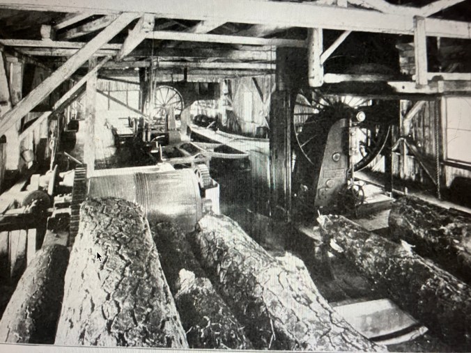 Technological innovations in sawmills were no less important than those in logging. The introduction of steam feeds, log rollers, band saws (like this one at the John L. Roper Lumber Co.'s cedar mill in Roper, N.C.), mechanical carriers, so-called endless chains (for bringing logs into mills) and planing machines, among much else, all dramatically increased the milling capacity of sawmills and heightened the demand for cutting forests such as those in the East Dismal. Photo from American Lumberman, April 27, 1907.