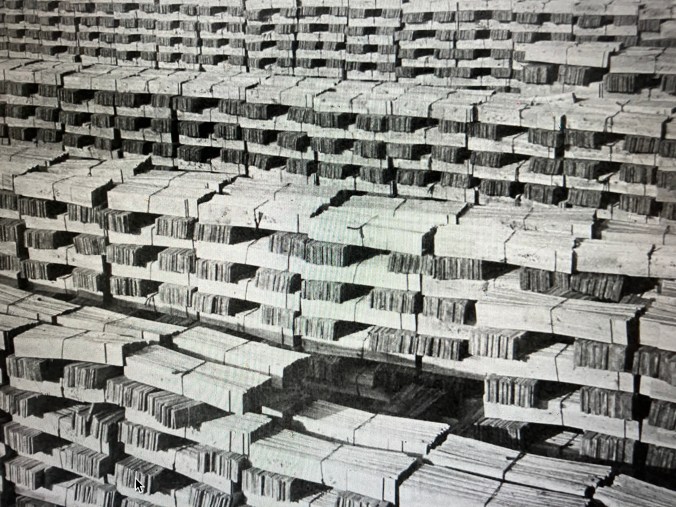 Atlantic white cedar (juniper) shingles at the John L. Roper Lumber Co.'s mill in Roper, N.C. In the 19th century, cedar shingles and shakes grew to be the most widely used roofing material on public buildings and residences in the U.S. and the Roper company's mill on the north side of the East Dismal was said to be the largest supplier of shingles in the U.S. The impact on the Atlantic white cedar forests of eastern N.C. was staggering: According to forestry researchers, more than half of the Atlantic white cedar forests on the North Carolina coast-- representing the single largest white cedar forests in the world-- were cut between 1880 and 1900 and largely by the John L. Roper Lumber Co. American Lumberman, 27 April 1907