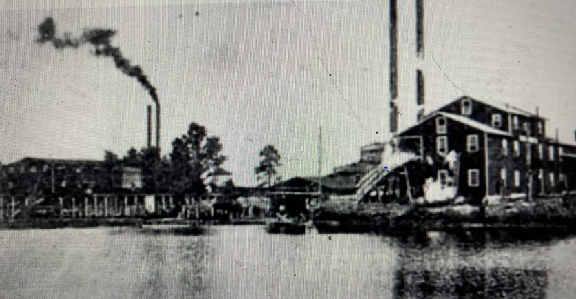 The Eureka Lumber Co. was the largest lumber mill in Washington, N.C., for many years. One of the company's sources of logs was the Pungo River, where it owned large tracts of forestland. The company's lumbermen floated logs from the Pungo west to its mill (seen here), and also east from extensive land holdings well up the Tar River. In 1904-08, the company also ran a logging railroad 40 miles southeast to Vandemere, in Pamlico County. Organized in 1892, the company specialized in producing, among other things, the wooden beams that held up mine shafts. Photo courtesy, Sabin Leach