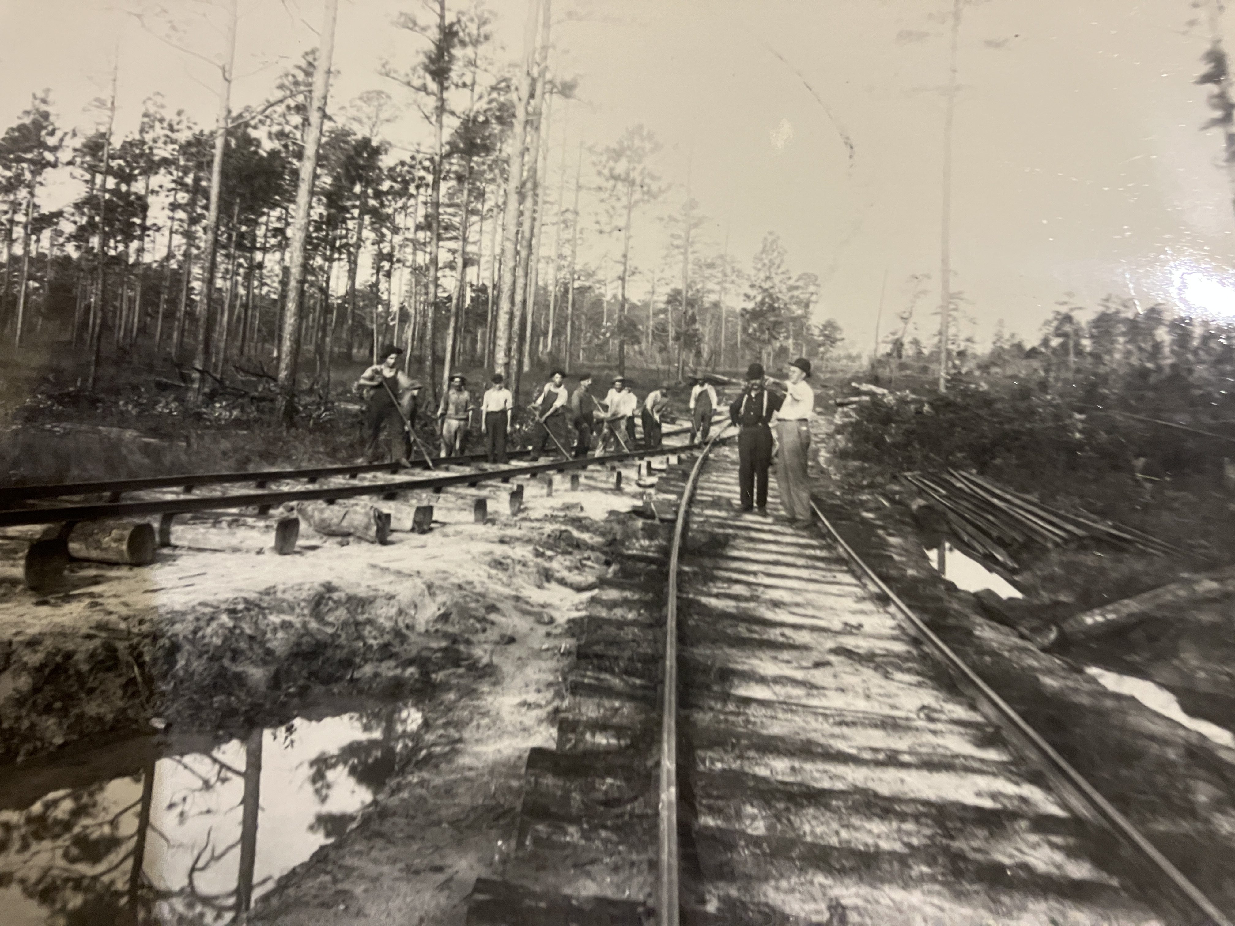 A crew of the Waccamaw Lumber Co.'s railroad construction workers, Columbus or Brunswick Co., N.C., ca. 1910-15. The company relied on Italian emigrant laborers to build its railroads, including an 18-mile line from its mill in Bolton into the Green Swamp. From the Waccmaw Lumber Co. Photograph Album & Journal, Rubenstein Library, Duke University