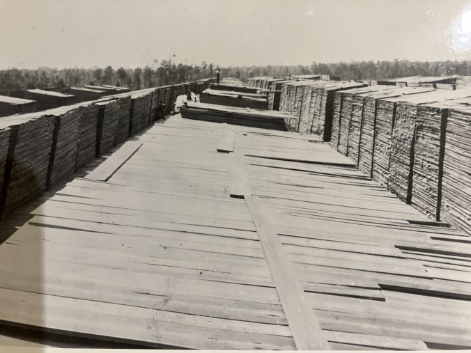 Lumber air drying at the Waccamaw Lumber Co.'s mill in Bolton. Most of this lumber was cypress and black gum from the Green Swamp, widely recognized today as one of the most biodiverse ecosystems in North America, especially well known for its wild orchids and insectivorous plants. The Waccamaw Lumber Co. clearcut and ditched the vast majority of the swamp's 140 square miles, but a precious piece of the swamp's heart has survived at the Nature Conservancy's Green Swamp Preserve. Photo from the Waccamaw Lumber Co. Photographs & Journal, Rubenstein Library, Duke University
