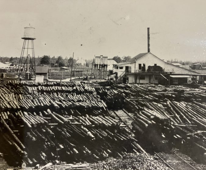 Log pond at the company's mill in Bolton. Arthur Little (former employee): "They had plenty of timber then. They didn't think it would ever give out. But they found out between fire and what they cut..., they soon found out it won't going to last." Waccamaw Lumber Co. Photographs & Journal, Rubenstein Library, Duke University