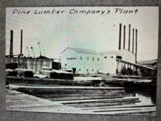 The Pine Lumber Co.'s mill in New Bern, N.C., ca. 1924. From Albert Y. Drummond, Drummond's Pictorial Atlas of North Carolina (1924)