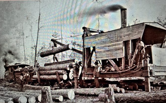 A Goldsboro Lumber Co. crew loading logs, early 1900s. Re-registered as the Goldsboro Lumber &amp; Railroad Co. in 1908, the company owned 36 miles of track between Dover and Richlands, N.C. From National Archives RG 95-GP, Forest Service Records, General Subject Files (Neg. #23336). (Special thanks to Patrick Milan &amp; George Lane.)