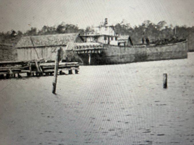 A lumber barge at the John L. Roper Lumber Co.'s wharf in Scranton, on the east side of the Lower Pungo River. While railroads carried a vast part of the East Dismal Swamp's forests north, maritime trade also played a large part in the swamp's demise. The shipping news section of Philadelphia's newspapers, in particular, often reported a dozen or more lumber carriers a day arriving from the Pungo River and other parts of the North Carolina coast. As of 1907, the John L. Roper Lumber Co.'s fleet of vessels included 16 barges, 12 tugboats, three schooners, and a yacht. The company often used local waterways to transport logs to its mills as well, sometimes via barges and other times by floating log rafts down a river or creek. Photo from <em>American Lumberman</em>, April 27, 1907.