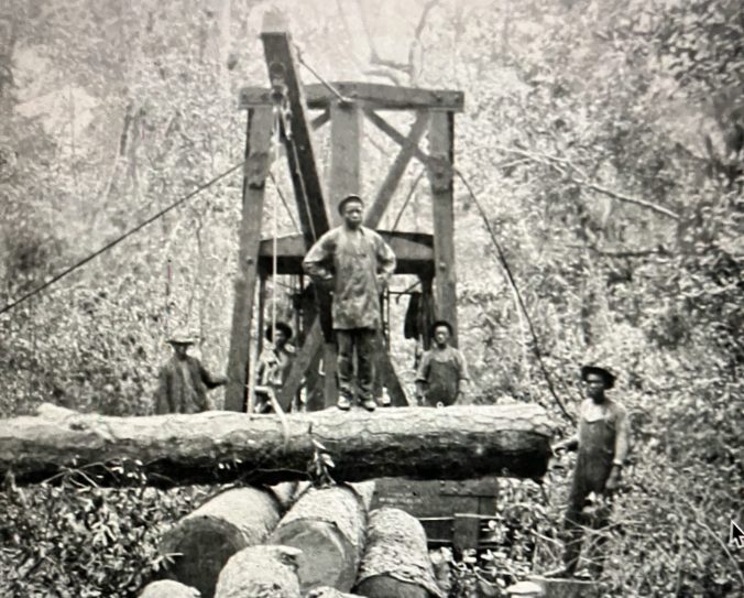 A logging crew near Pine Town, in North Carolina's East Dismal Swamp, ca. 1910-12. The crew is using a "skidder," a steam-powered machine that traveled on a railroad built into the swamp for the purpose of logging. Loggers attached the skidder's cable to logs with heavy tongs, then used a powerful winch to drag the logs through the swamp to the rail line for transport to a mill. This skidder was built by Surry Parker's machine works in Pine Town, a company town on the western margins of the East Dismal. In this photo, Parker is standing in the foreground by the logs. Photo from Surry Parker, Steam Logging Machinery (Pine Town, N.C., 1912). Copy, North Carolina Collection, UNC-Chapel Hill
