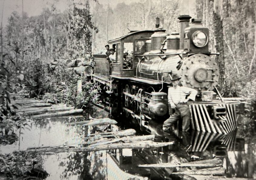 A locomotive hauling a load out of the East Dismal, ca. 1910-12. Surry Parker, a designer and builder of steam logging machinery, used this photograph in a 1912 catalog to illustrate how the use of railroads and steam logging machinery opened up even the wettest parts of the East Dismal to logging. Source: Surry Parker, Steam Logging Machinery (Pine Town, N.C., 1912)